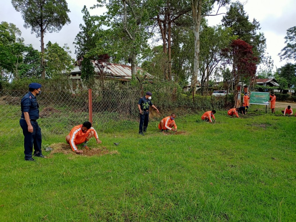 The 12th Battalion National Disaster Response Force (NDRF) carried out a plantation drive in view of Akhil Bhartiya Vriksha Ropan at Regimental School, 4th BN NAP, Thizama under Kohima district on June 16. It was carried out in collaboration with the Regimental school staff under the supervision of Sh. PN Singh, Deputy Commandant, 12th BN NDRF. Fruit bearing plants, medicinal plant as well as non-fruit bearing plants were planted. Around 300 saplings were planted during the event. The programme will further be carried out within Nagaland in future, according to a release received here.